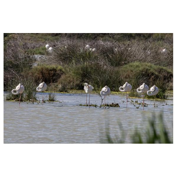 PHOTO84, CLUB, 84 , LUBERON